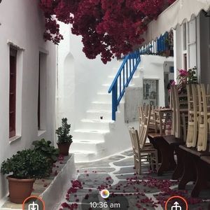 Meet your Posher, Simone